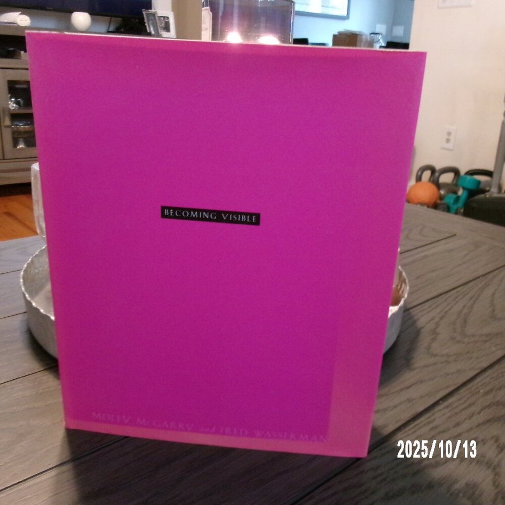 Becoming Visible Molly McGarry and Fred Wasserman hardcover GLBTQ Queer His EXC
